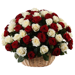 Фото товара 101 червоно-біла троянда в кошику в Коломиї