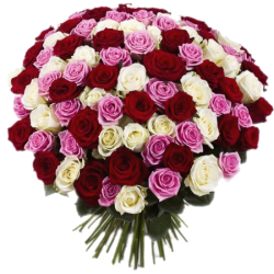 Фото товара 101 троянда мікс в Коломиї