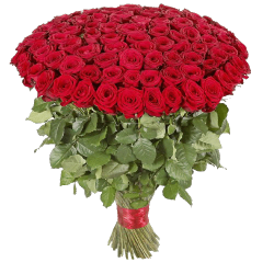 Фото товара 101 червона троянда в Коломиї