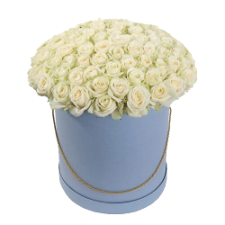 Фото товара 101 біла троянда в капелюшній коробці в Коломиї