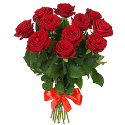 Фото товара 11 червоних троянд в Коломиї