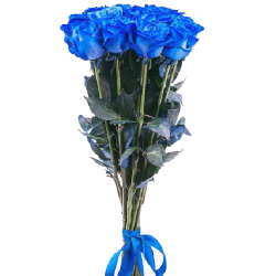 Фото товара 11 синіх троянд (фарбованих) в Коломиї