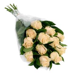 Фото товара 11 кремових троянд в Коломиї