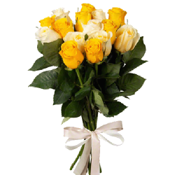 Фото товара 15 кремово-жовтих троянд в Коломиї