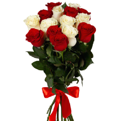 Фото товара 15 червоно-білих троянд в Коломиї