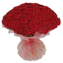 Фото товара 201 червона троянда в Коломиї