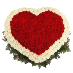 Фото товара 201 троянда серцем в Коломиї