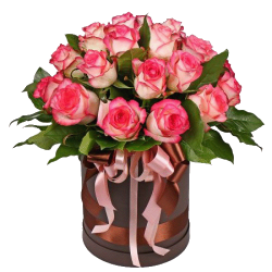 Фото товара 19 троянд "Джумілія" в капелюшній коробці в Коломиї