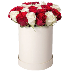 Фото товара 21 червоно-біла троянда в капелюшній коробці в Коломиї