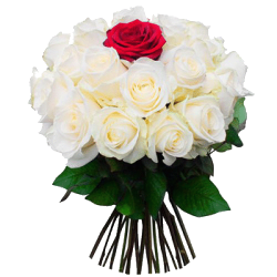 Фото товара Букет "Тобі одній" (20 білих та 1 червона троянда) в Коломиї