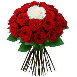 Фото товара Букет "Тобі одній" (20 червоних та 1 біла троянда) в Коломиї