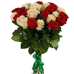 Фото товара 25 червоно-кремових троянд в Коломиї