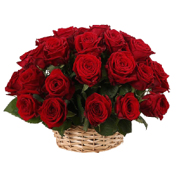 Фото товара 25 червоних троянд у кошику в Коломиї