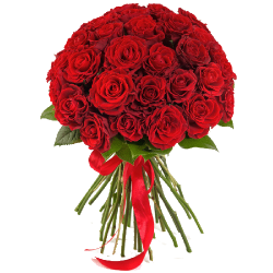 Фото товара 25 червоних троянд "El Toro" в Коломиї