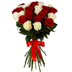 Фото товара 25 червоно-білих троянд в Коломиї
