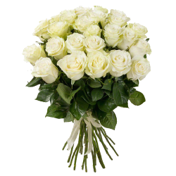 Фото товара 25 білих троянд в Коломиї