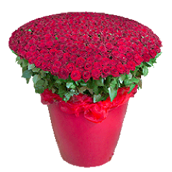 Фото товара 301 червона троянда у великому вазоні в Коломиї