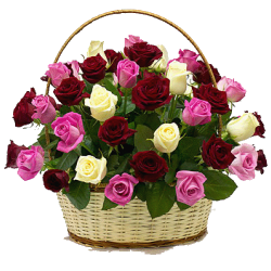 Фото товара 33 троянди мікс у кошику в Коломиї