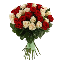 Фото товара 33 червоно-кремові троянди в Коломиї