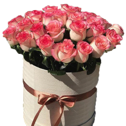 Фото товара 33 рожеві троянди в капелюшній коробці в Коломиї