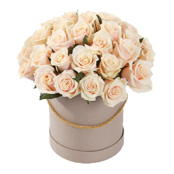 Фото товара 33 кремові троянди в капелюшній коробці в Коломиї