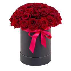 Фото товара 33 червоні троянди в капелюшній коробці в Коломиї