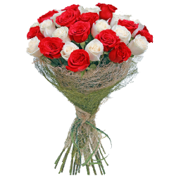 Фото товара 33 червоно-білі троянди в Коломиї