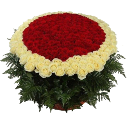 Фото товара 501 троянда в кошику в Коломиї