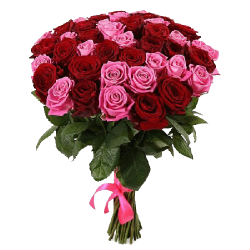 Фото товара 51 червоно-рожева троянда в Коломиї