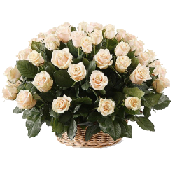 Фото товара 51 кремова троянда в кошику в Коломиї