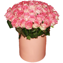 Фото товара 51 троянда "Джумілія" в капелюшній коробці в Коломиї