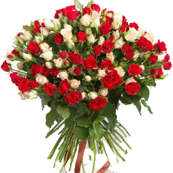 Фото товара 51 кущова червоно-біла троянда в Коломиї