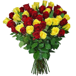 Фото товара 51 червоно-жовта троянда в Коломиї