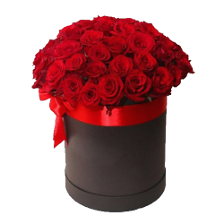 Фото товара 51 червона троянда в капелюшній коробці в Коломиї