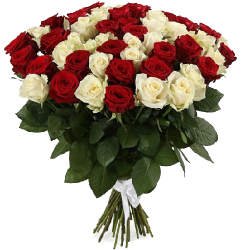 Фото товара 51 червоно-біла троянда в Коломиї