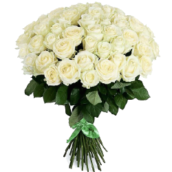 Фото товара 51 біла троянда в Коломиї