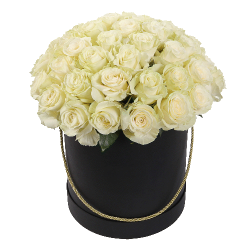 Фото товара 51 біла троянда в капелюшній коробці в Коломиї
