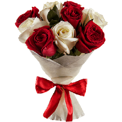 Фото товара 9 червоно-білих троянд в Коломиї