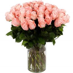 Фото товара Троянда імпортна рожева (поштучно) в Коломиї