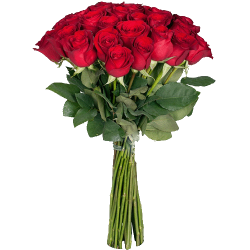Фото товара Екстра троянда (поштучно) в Коломиї