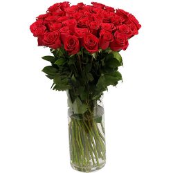 Фото товара Троянда імпортна червона (поштучно) в Коломиї