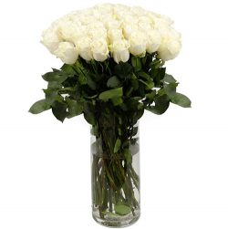 Фото товара Троянда імпортна біла (поштучно) в Коломиї