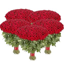 Фото товара 501 червона троянда в Коломиї