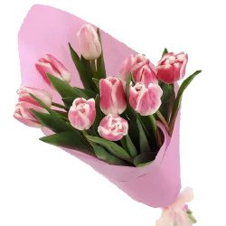 Фото товара 11 рожевих тюльпанів в Коломиї