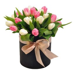 Фото товара 25 тюльпанів у капелюшній коробці в Коломиї