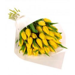 Фото товара 25 жовтих тюльпанів в Коломиї