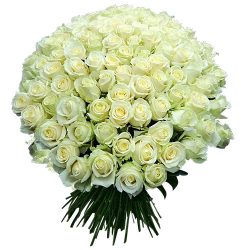 Фото товара 101 біла троянда в Коломиї