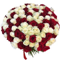 Фото товара 101 червоно-біла троянда в Коломиї