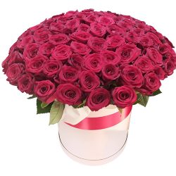 Фото товара 101 червона троянда в капелюшній коробці в Коломиї