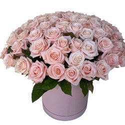 Фото товара 101 рожева троянда в коробці в Коломиї